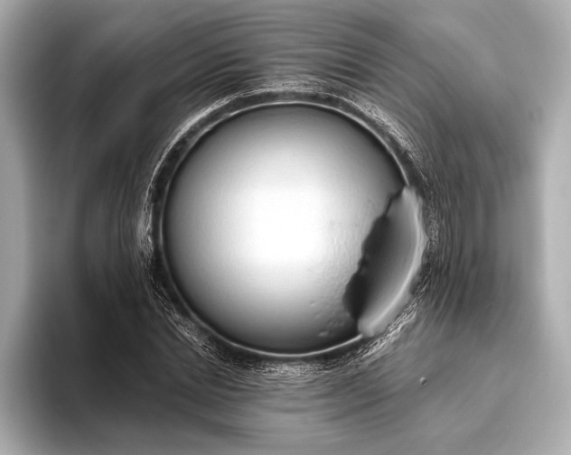 X0000093410830200710260936