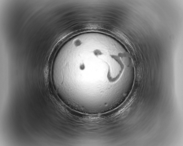 X0000093410831200710260936