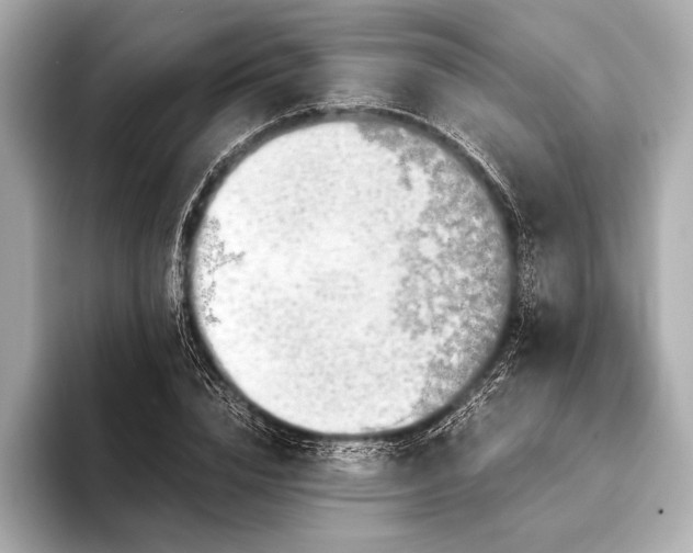 X0000093410832200710260936