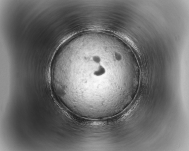 X0000093410839200710260936