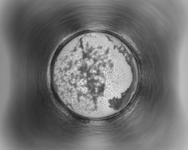 X0000093410840200710260936