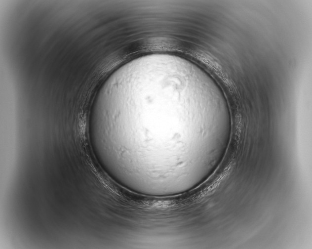 X0000093410841200710260936