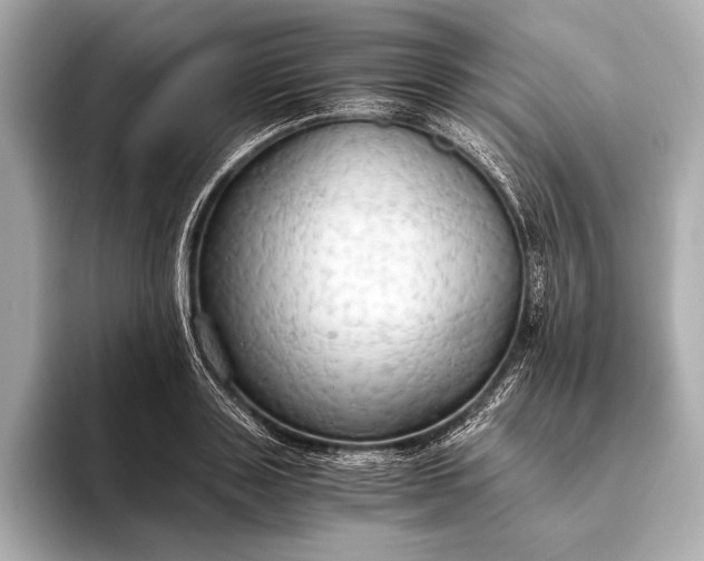 X0000093410843200710260936