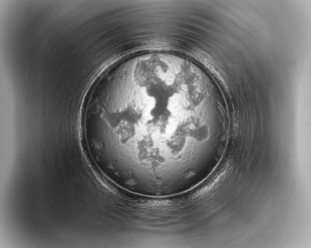 X0000093410845200710260936