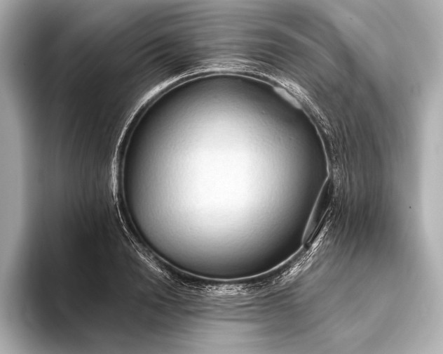 X0000093410846200710260936