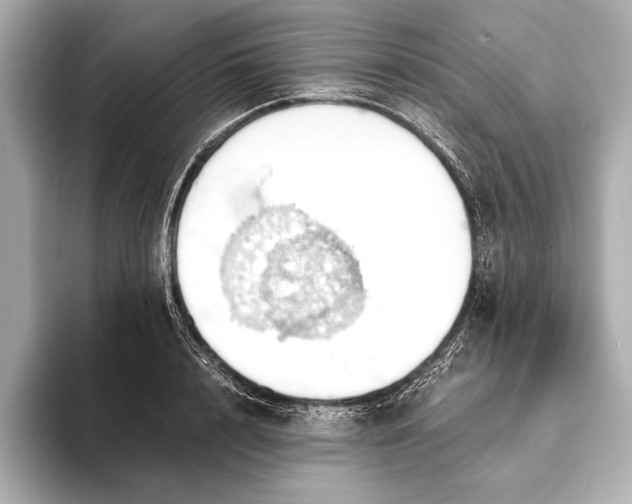 X0000093410848200710260936