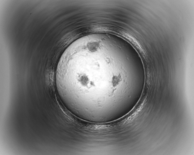 X0000093410849200710260936