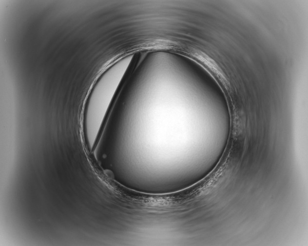 X0000093410850200710260936