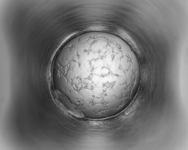 X0000093410852200710260936