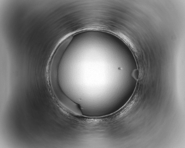 X0000093410854200710260936