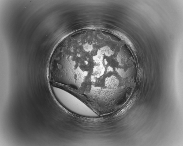 X0000093410855200710260936