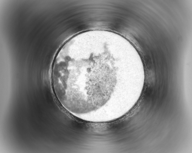 X0000093410856200710260936