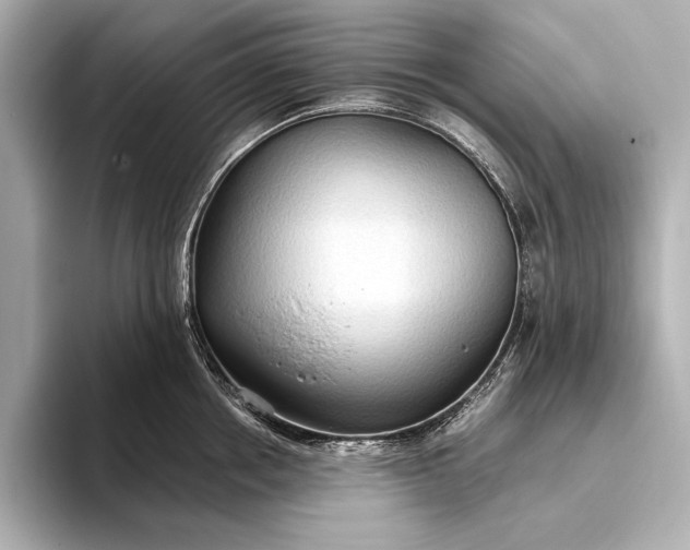 X0000093410858200710260936