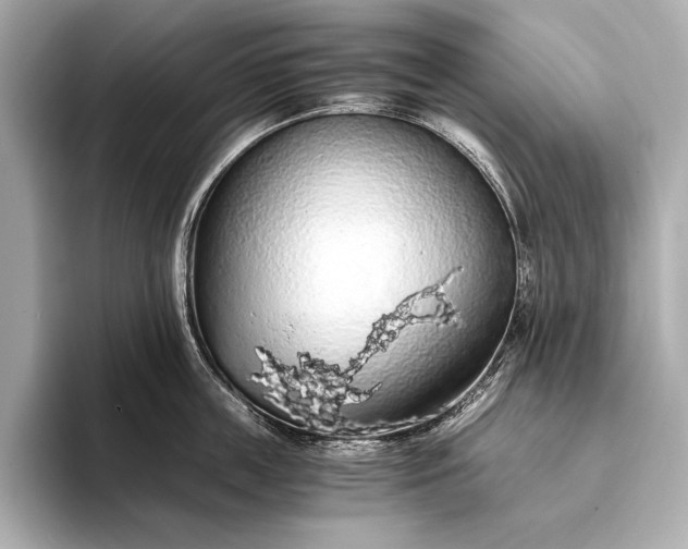 X0000093410859200710260936