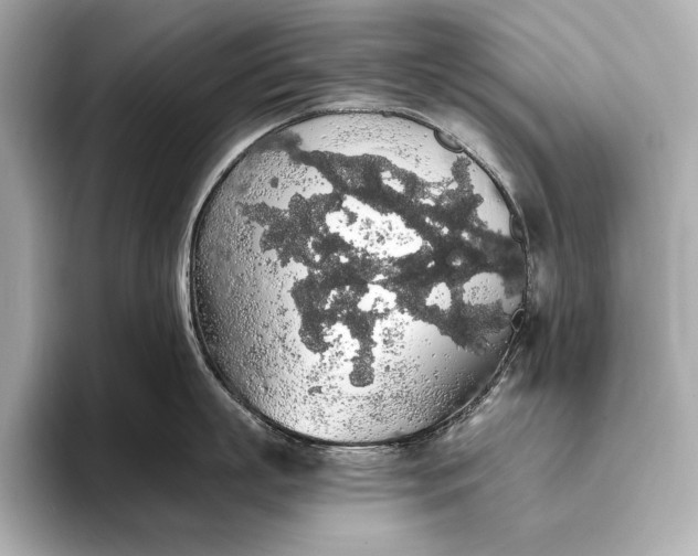 X0000093410863200710260936