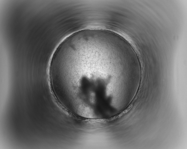 X0000093410864200710260936