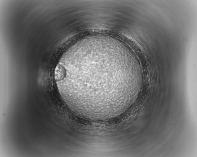 X0000093410870200710260936