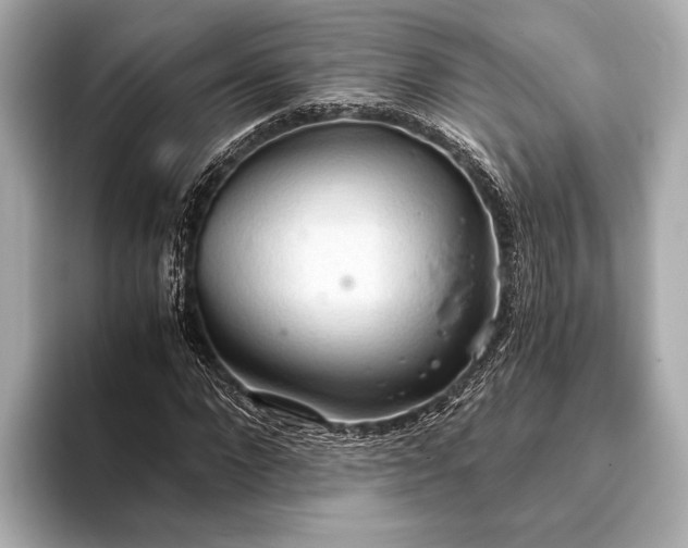 X0000093410872200710260935