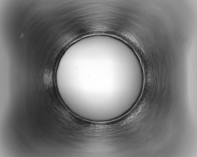 X0000093410873200710260935