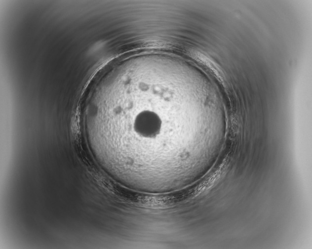 X0000093410875200710260935