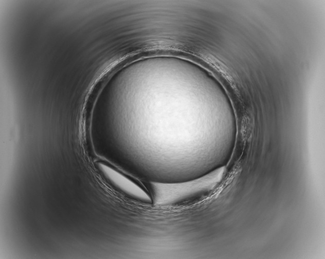 X0000093410877200710260935