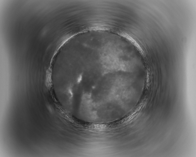 X0000093410878200710260935