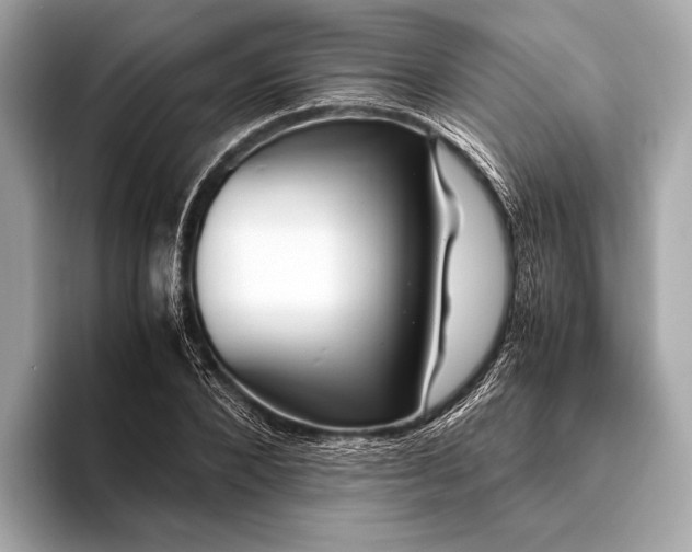 X0000093410880200710260935