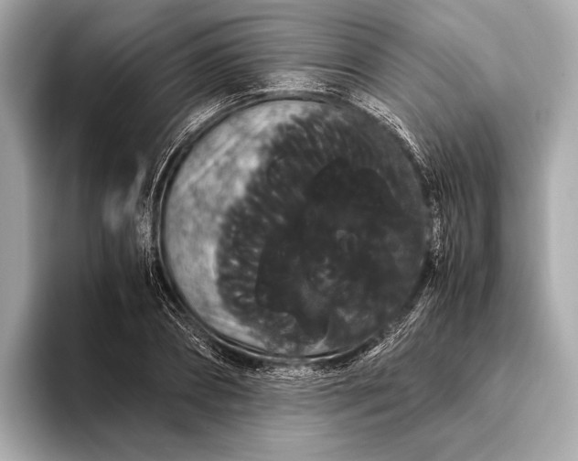 X0000093410882200710260935