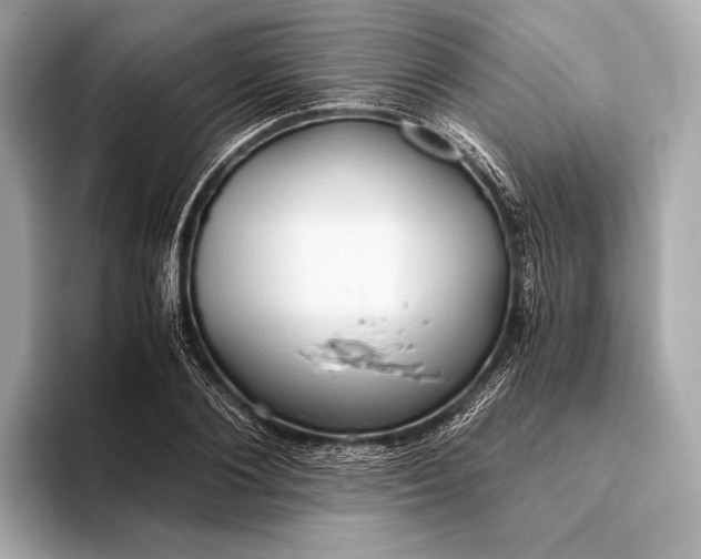 X0000093410884200710260935