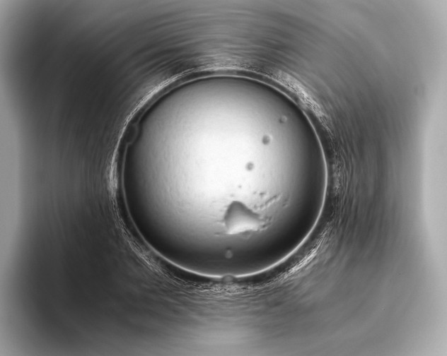 X0000093410885200710260935