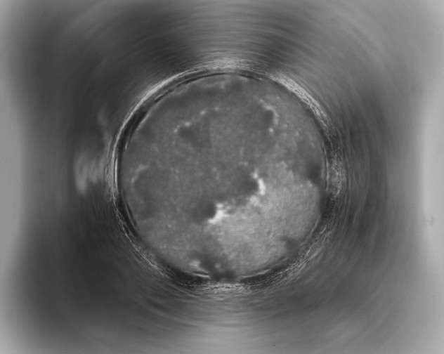 X0000093410886200710260935