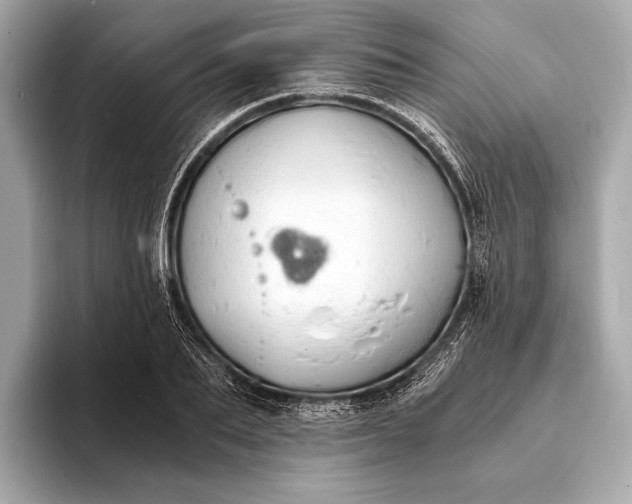 X0000093410887200710260935