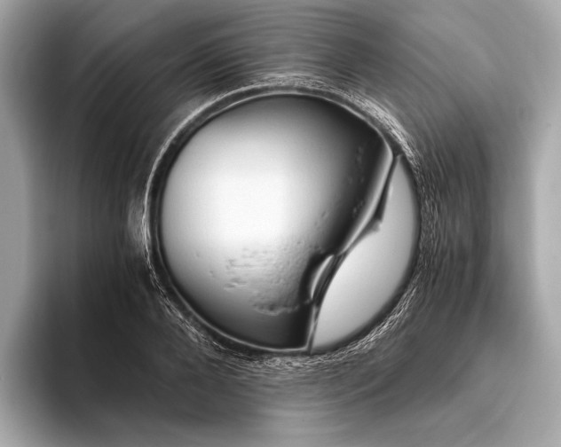 X0000093410888200710260935