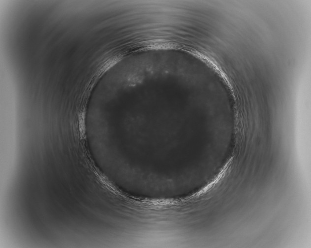 X0000093410889200710260935