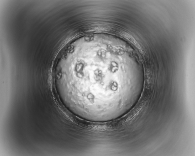 X0000093410890200710260935