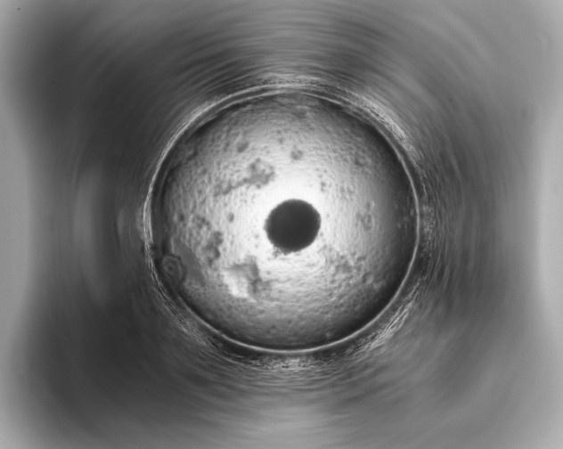 X0000093410891200710260935