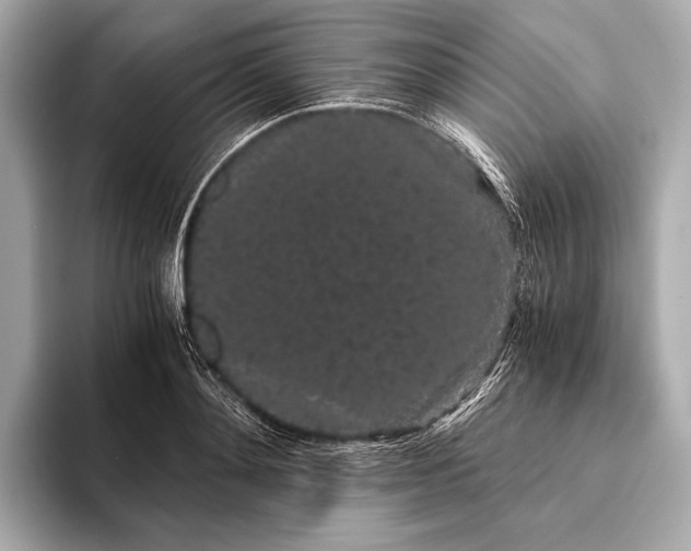 X0000093410892200710260935