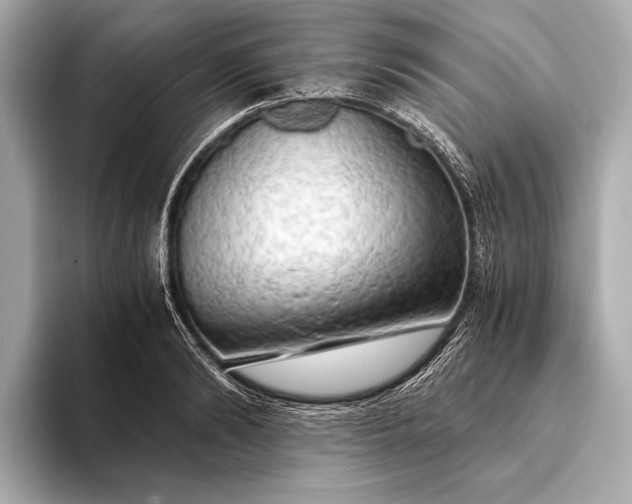 X0000093410894200710260935