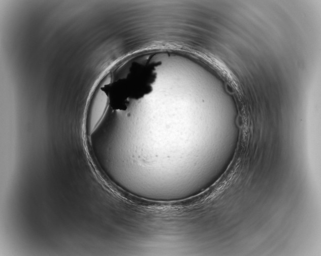 X0000093410896200710260935