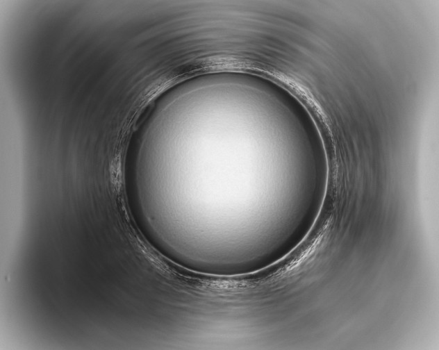 X0000093410897200710260935