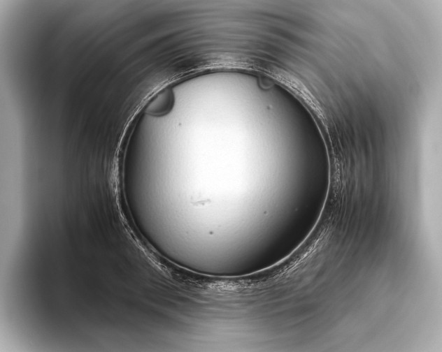 X0000093410898200710260935