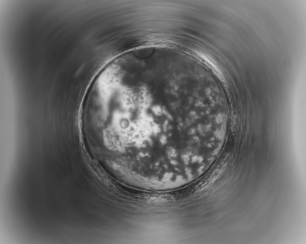 X0000093410899200710260935