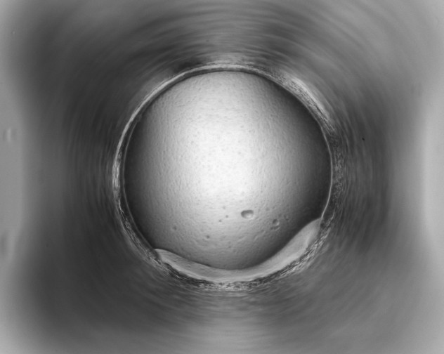 X0000093410900200710260935