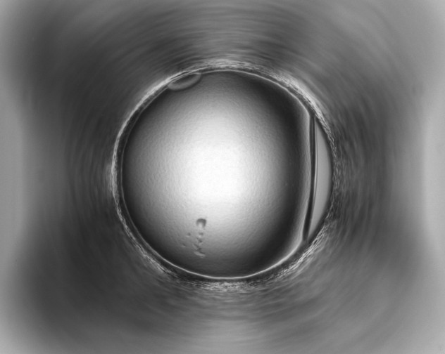 X0000093410902200710260935