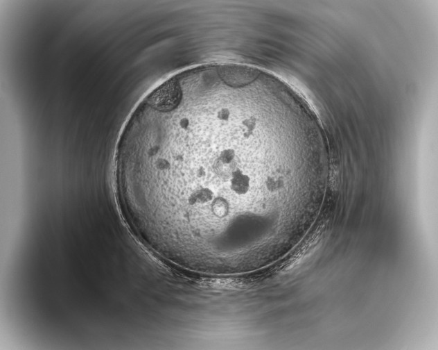 X0000093410903200710260935