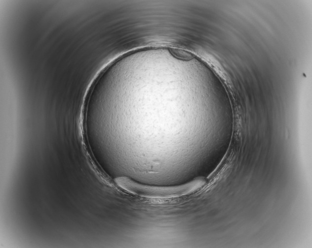 X0000093410904200710260935