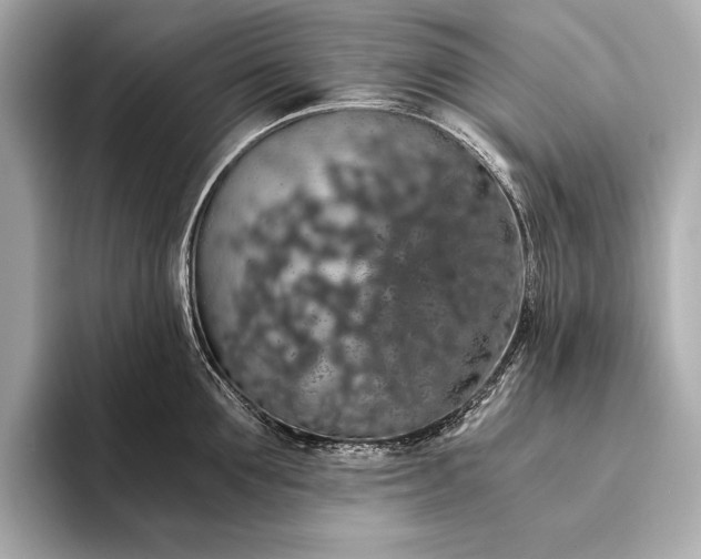 X0000093410907200710260935