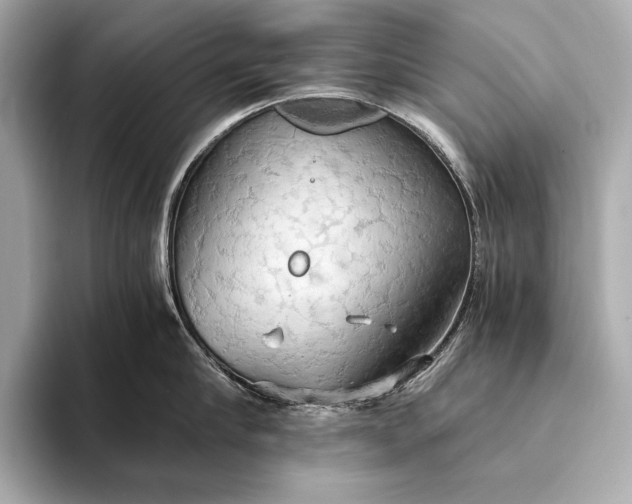 X0000093410910200710260935