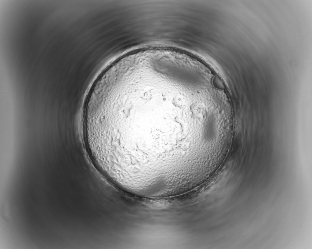 X0000093410911200710260935