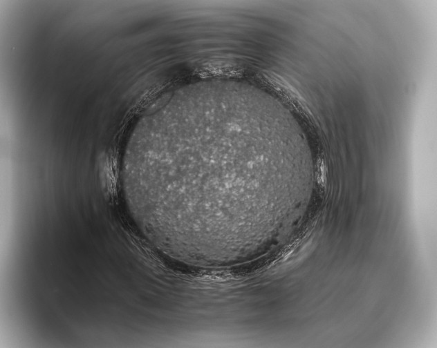 X0000093410915200710260934